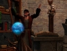 Die Sims Mittelalter