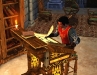 Die Sims Mittelalter